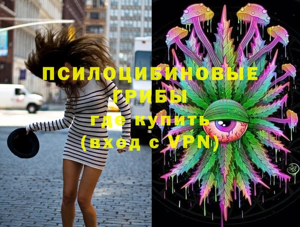 ешки Заводоуковск