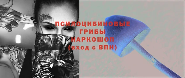 ешки Заводоуковск