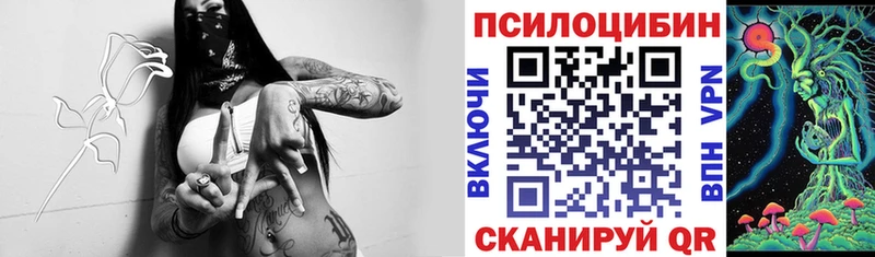 купить закладку  Рубцовск  MEGA как войти  Галлюциногенные грибы мицелий 